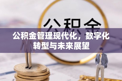 天台公积金管理现代化，数字化转型与未来展望