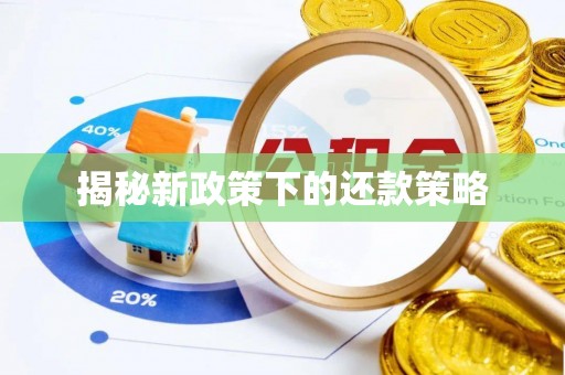 天台揭秘新政策下的还款策略