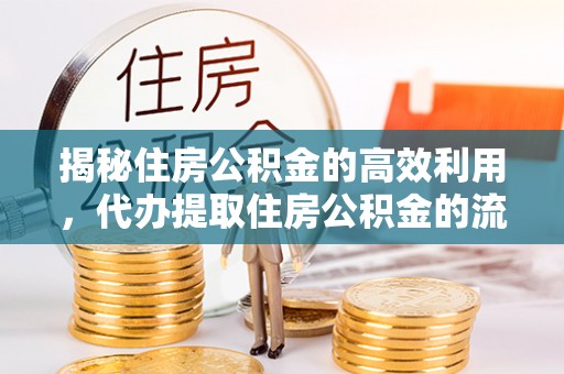 天台揭秘住房公积金的高效利用，代办提取住房公积金的流程与技巧