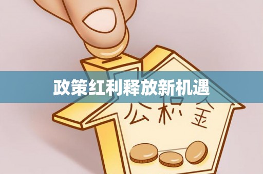 天台政策红利释放新机遇