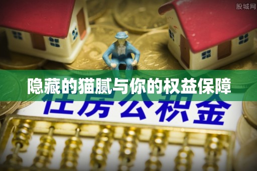 天台隐藏的猫腻与你的权益保障
