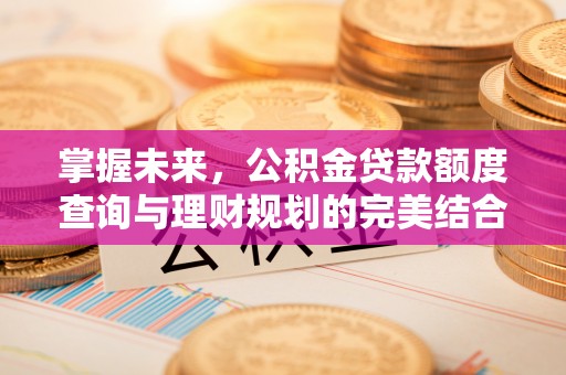 天台掌握未来，公积金贷款额度查询与理财规划的完美结合