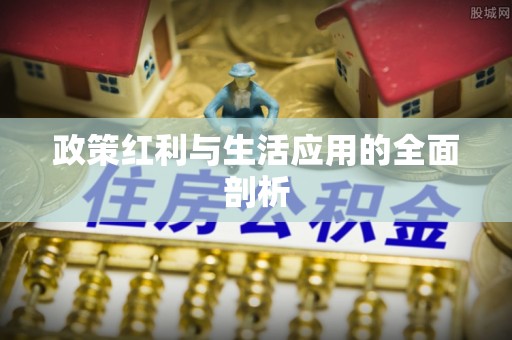 天台政策红利与生活应用的全面剖析