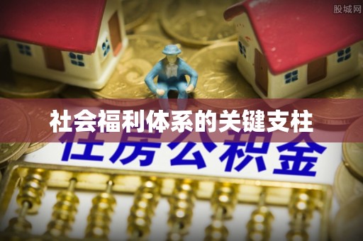 天台社会福利体系的关键支柱