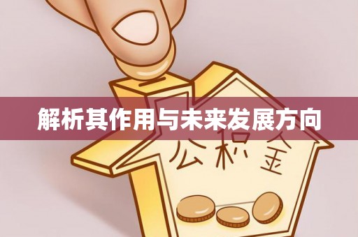 天台解析其作用与未来发展方向